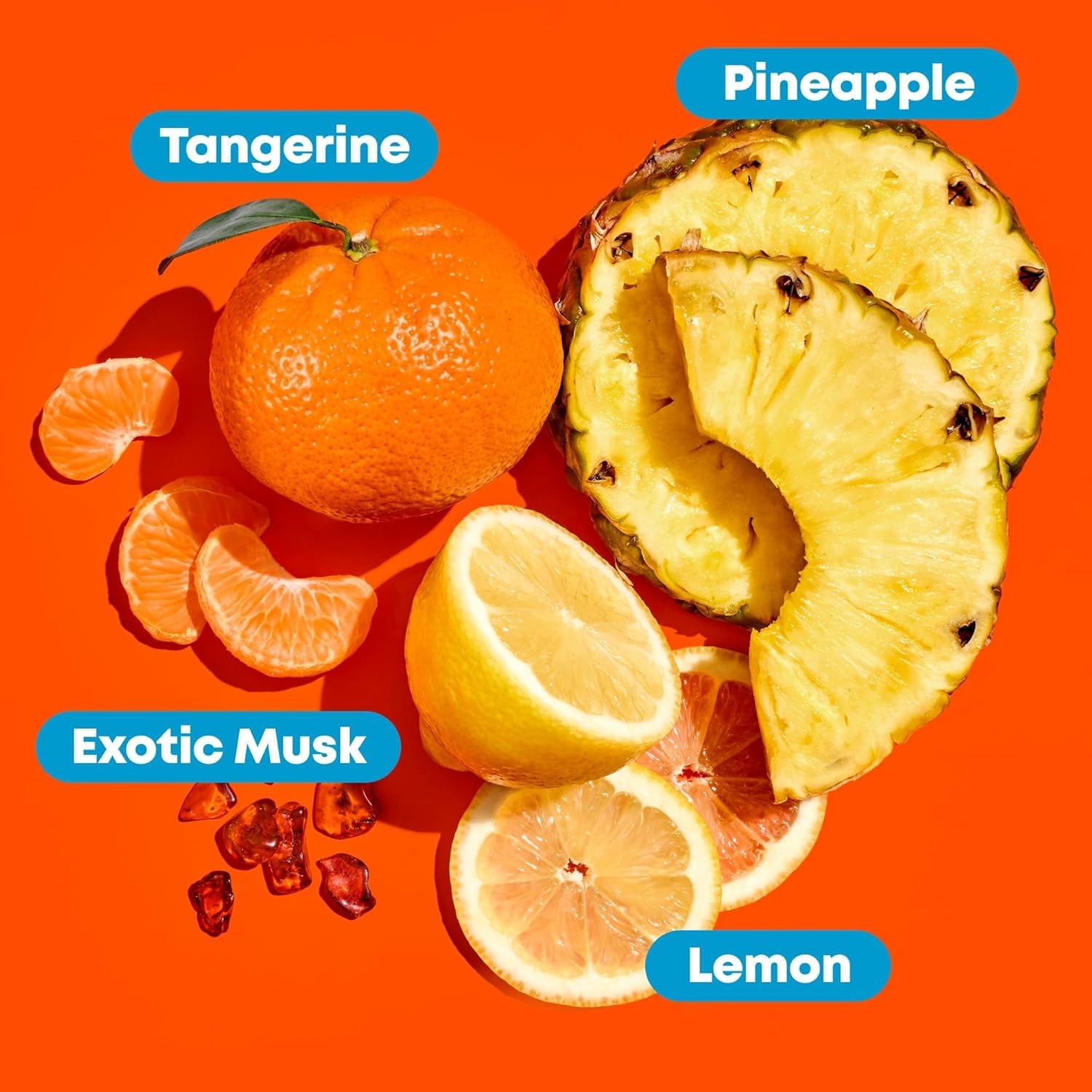 Mega Sleek Shampoo and Conditioner Set | Controls Frizz Leaving Hair Smooth & Shiny | Nourishes with Shea Butter | for Dry, Damaged Hair | Packaging May Vary